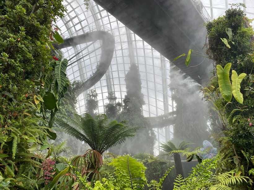 Singapore: Private Customized Tour with transportation - Is $149 Per Person a Fair Price?