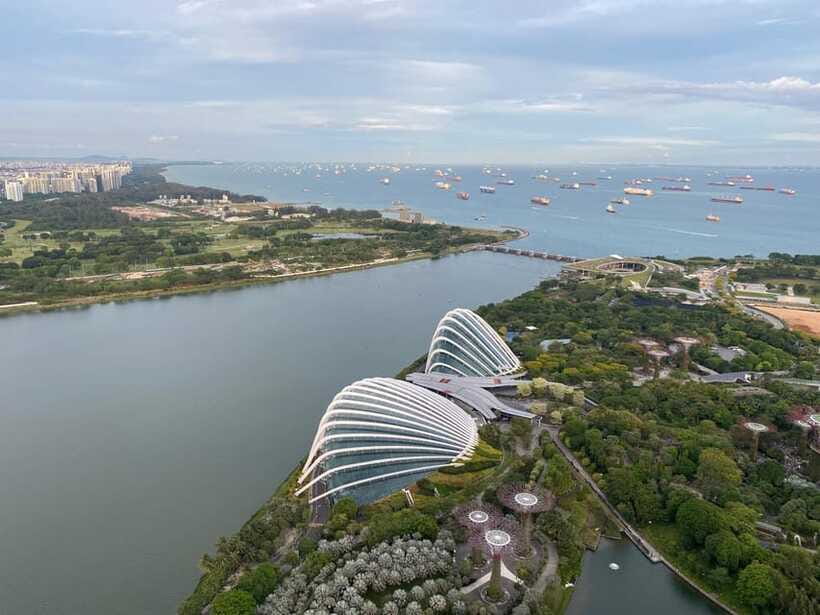Singapore: Private Customized Tour with transportation - Should You Book the Singapore Customized Tour?