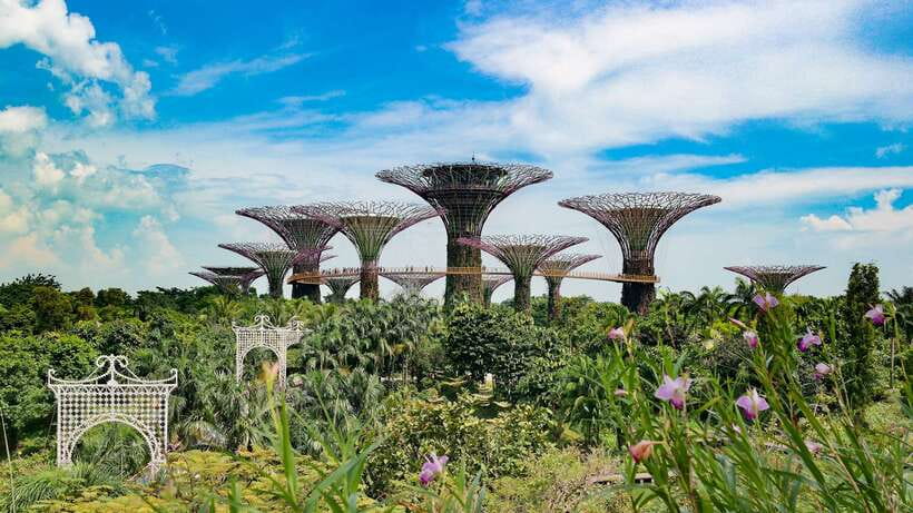 Singapore: Private Flexible Tour with a Licensed Local Guide - Building a route through Chinatown and Little India
