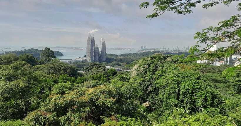 Singapore: Private Full-Day Island Tour - The National Orchid Garden’s Plant Collection