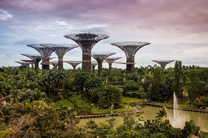 Singapore Private Full-Day Sightseeing Tour - Marina Bay Sands and the 56th-floor view