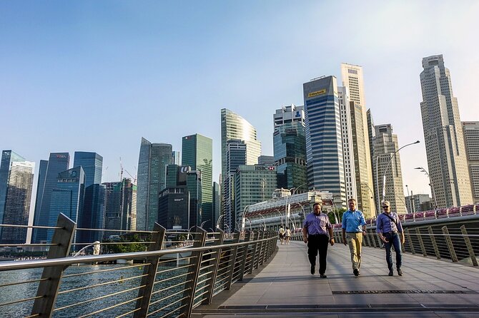 Singapore Private Full-Day Sightseeing Tour - Chinatown in a one-hour visit