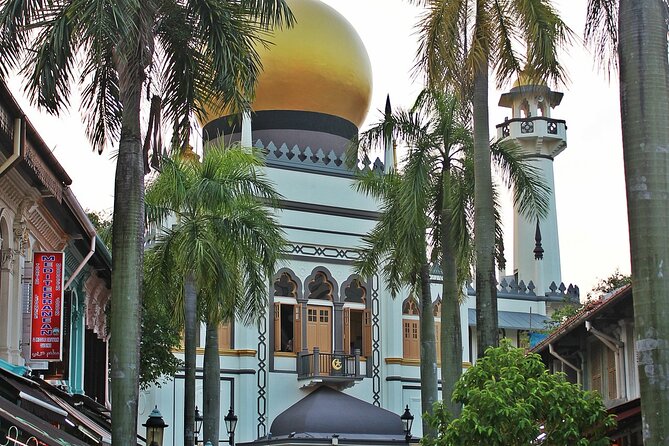 Singapore Private Full-Day Sightseeing Tour - Little India’s color and religious landmarks
