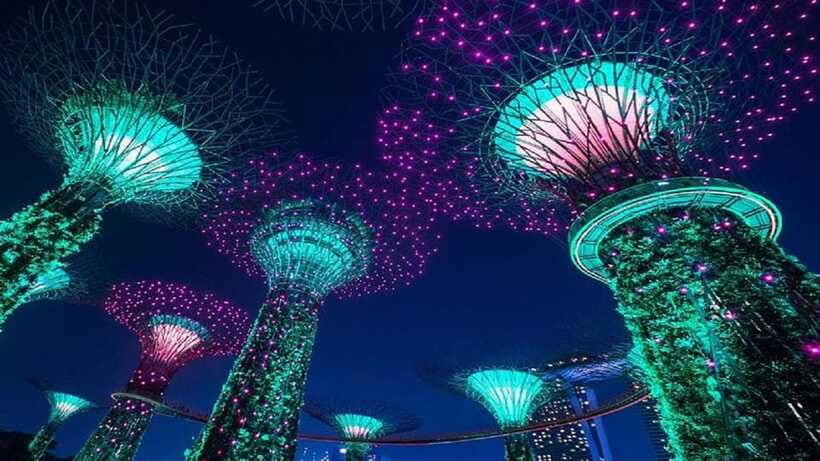 Singapore: Private Nighttime Sightseeing with River Cruise - Little India adds a different side of Singapore