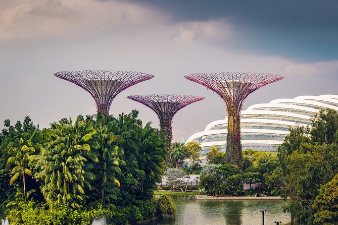 Singapore Private Professional Photoshoot at Gardens by the Bay - The photographer makes the biggest difference