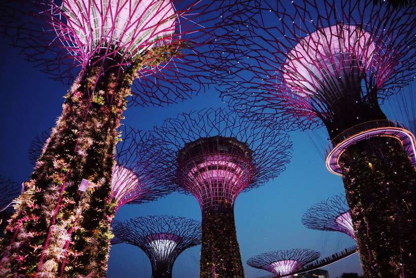 Singapore: Private Tour with a Driver - A private way to connect Singapore’s famous and lesser-known sides
