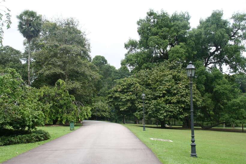 Singapore: Private Tour with a Driver - National Gallery, Universal Studios, and the wildlife parks