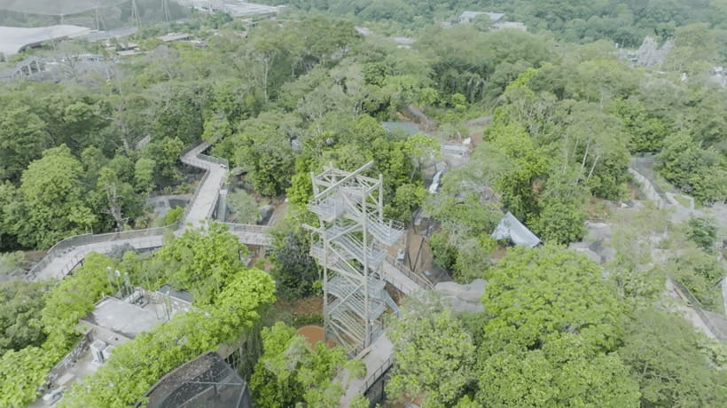 Singapore: Rainforest Wild Asia Entry Ticket - Is $27 a fair price?