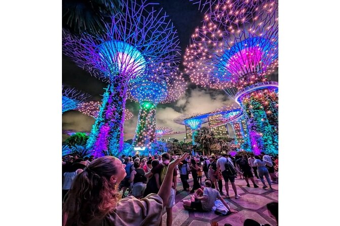 Singapore River Cruise and 2 Must-see Water Light Shows - Key points at a glance