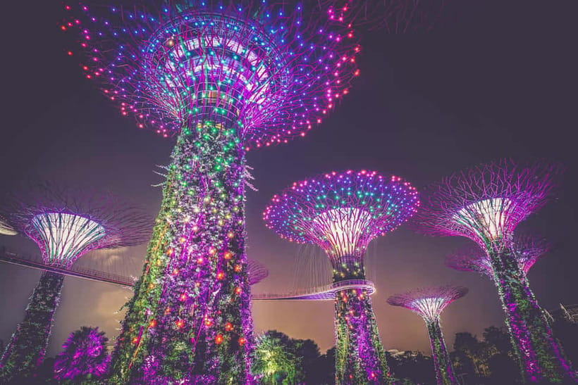 Singapore River Cruise, Garden Rhapsody & Spectra by CYT - Gardens by the Bay and the Supertree Grove show