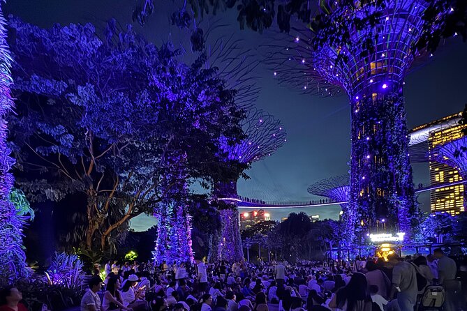 Singapore River Cruise, Night Garden Rhapsody and Spectra Tour - Key points to know before booking