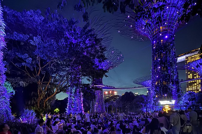 Singapore River Cruise, Night Garden Rhapsody and Spectra Tour - The 30-minute bumboat ride is the evening’s historical link