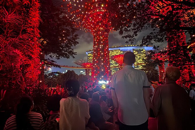 Singapore River Cruise, Night Garden Rhapsody & Spectra by CYT - Who should book this evening tour?