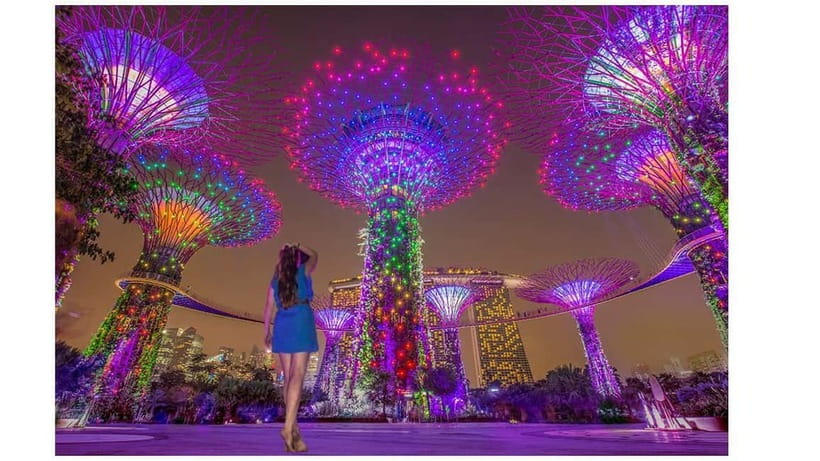 Singapore River Cruise, Spectra & Garden Rhapsody Light Show - Merlion Park and the classic Singapore photograph