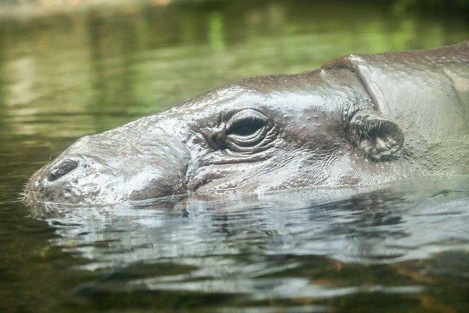 Singapore River & Night Safari-COMBO (Shared Transfer) - Is eight hours enough?