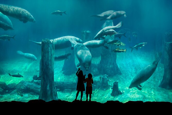 Singapore: River Wonders Entry Ticket - Amazonia Encounter and the optional boat ride