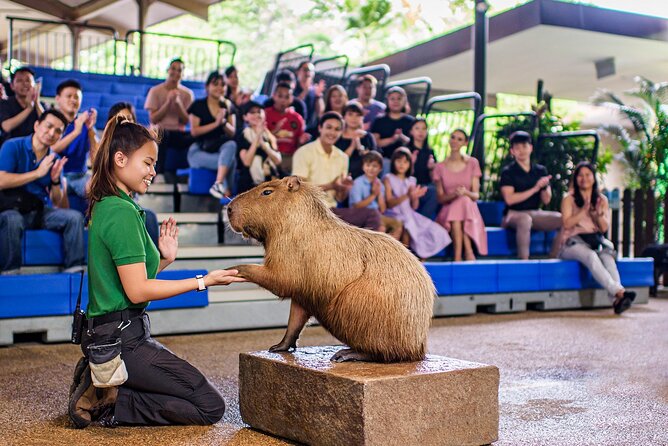 Singapore: River Wonders Entry Ticket - A practical route for a two to three hour visit
