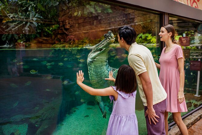 Singapore: River Wonders Entry Ticket - Simple ways to make the visit better