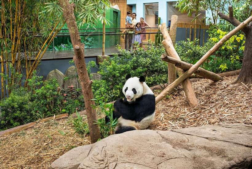 Singapore: River Wonders Entry Ticket - Should you book this River Wonders ticket?