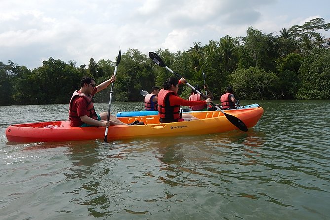 Singapore Round Ketam Kayaking Adventure in Pulau Ubin - Safety, equipment, and the first wet test