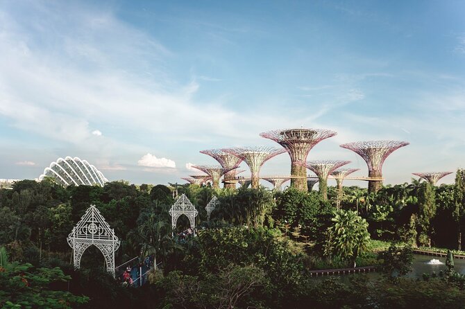 Singapore’s Hidden Treasures: A Cultural Private Tour - Tiong Bahru Qi Tian Gong Temple and local religious life