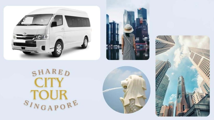 Singapore: Shared City Tour by Van/Bus - Starting with the Singapore Flyer skyline