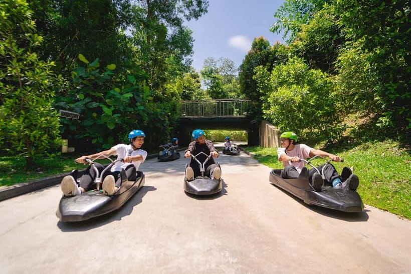 Singapore: Skyline Luge Sentosa Entry Ticket - Night Luge and the best time to ride