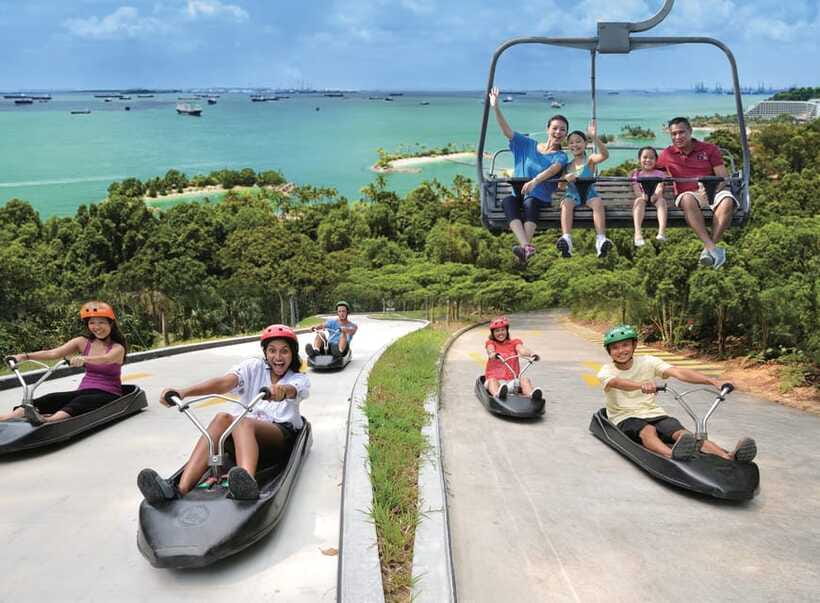 Singapore: Skyline Luge Sentosa Tickets - Who will enjoy this most
