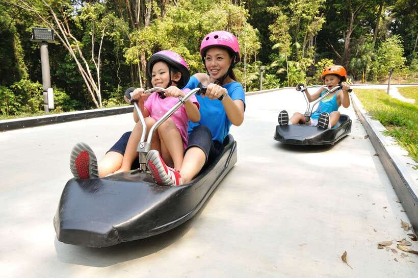 Singapore: Skyline Luge Sentosa Tickets - Choosing between the 688-meter Dragon Trail and 628-meter Jungle Trail