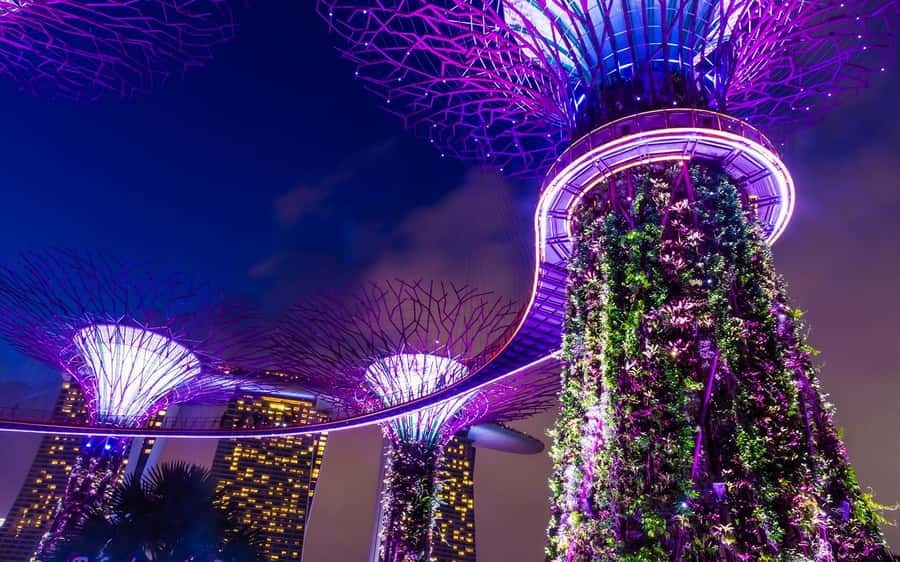 Singapore Starry Night: Cruise, Garden Rhapsody & Spectra - Who will get the most from this tour