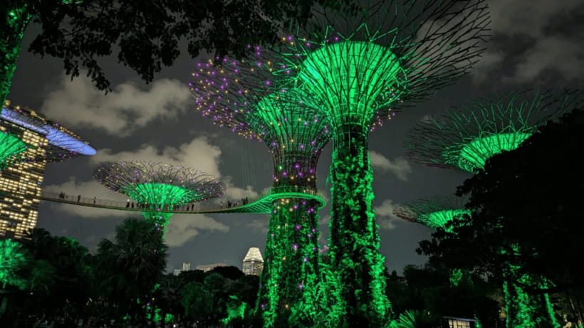 Singapore: Sunset River Cruise and Glittering Light Shows - The guides make the transfers count