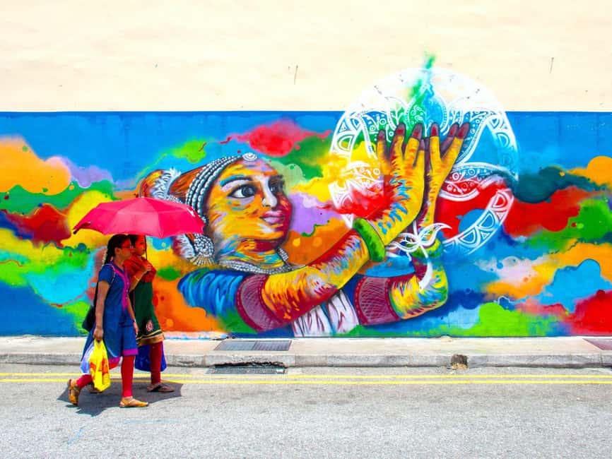 Singapore: Temples, Chinatown and Little India Private Tour - A Fast Introduction to Singapore’s Four Cultural Districts