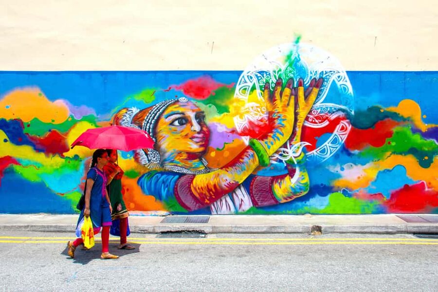 Singapore: Temples, Chinatown and Little India Private Tour - A Guide Makes the Short Stops More Useful
