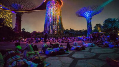 Twilight Tour with River Cruise and Light Shows