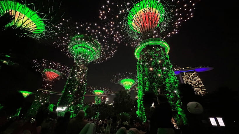 Singapore: Twilight Tour with River Cruise and Light Shows - The guide can make or break a fast schedule