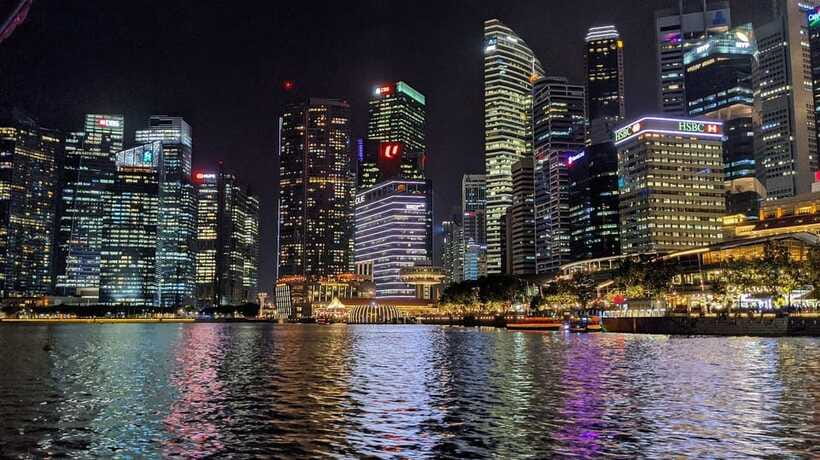 Singapore Twilights with River Cruise & Light Shows - What the guide adds to the experience