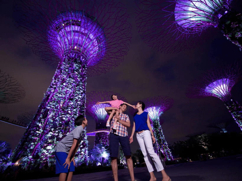 Singapore Twilights with River Cruise & Light Shows - Who should book this tour?