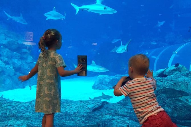 Singapore Universal Studio & S.E.A Aquarium-COMBO One-Day Pass(Shared transfer) - Universal Studios Singapore: six hours of movie rides