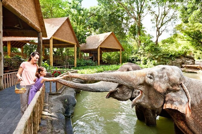 Singapore Zoo - A zoo built for walking, shade, and close animal encounters