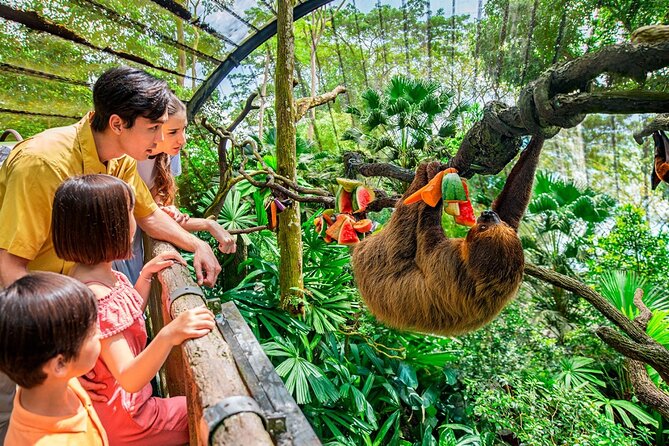 Singapore Zoo - The tram makes a large park easier to handle