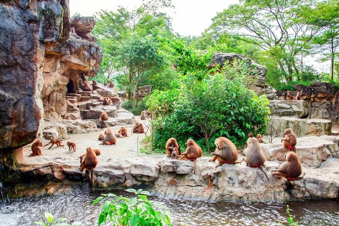 Singapore Zoo - What the day feels like for families and adults