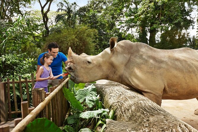Singapore Zoo - Timing the 4:15pm keeper talk and elephant feeding