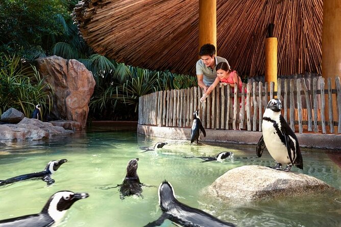 Singapore Zoo - Choosing hotel pickup or making your own way