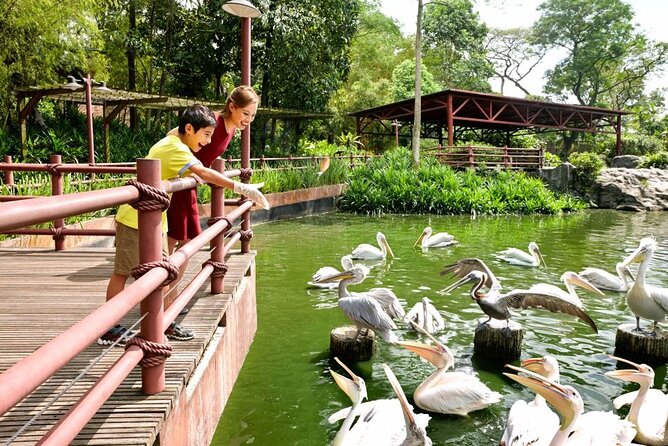 Singapore Zoo - Practical tips for a smoother visit