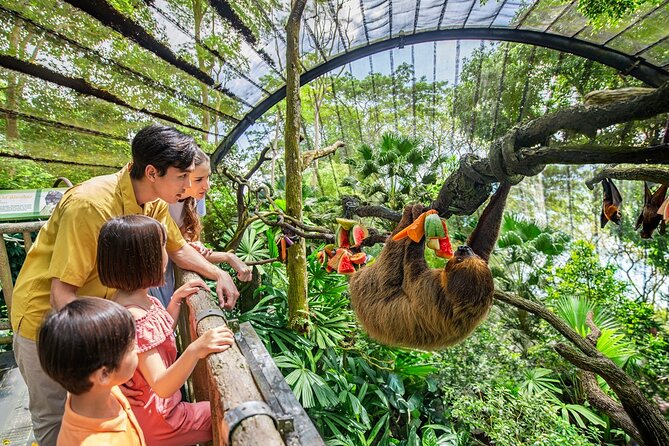 Singapore Zoo Entry Ticket - Key points to know before you go