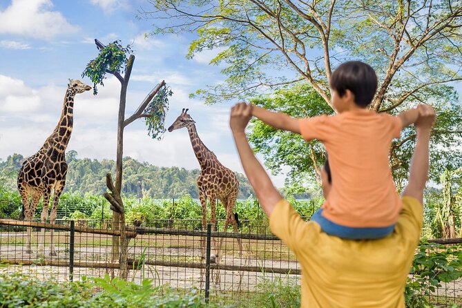 Singapore Zoo Entry Ticket - Singapore Zoo’s open-concept animal habitats