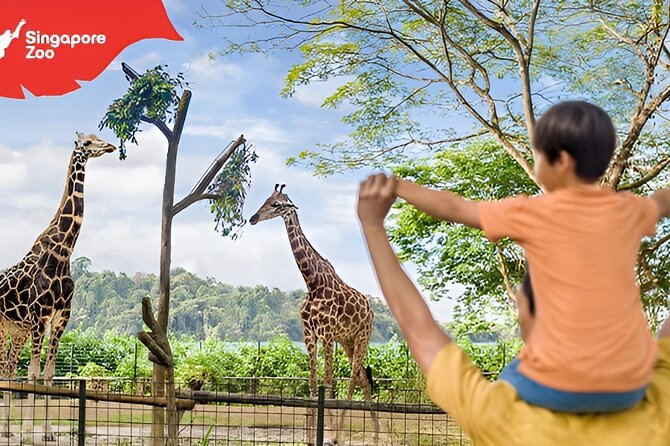 Singapore Zoo Entry Ticket - A walk-through biodome and close views