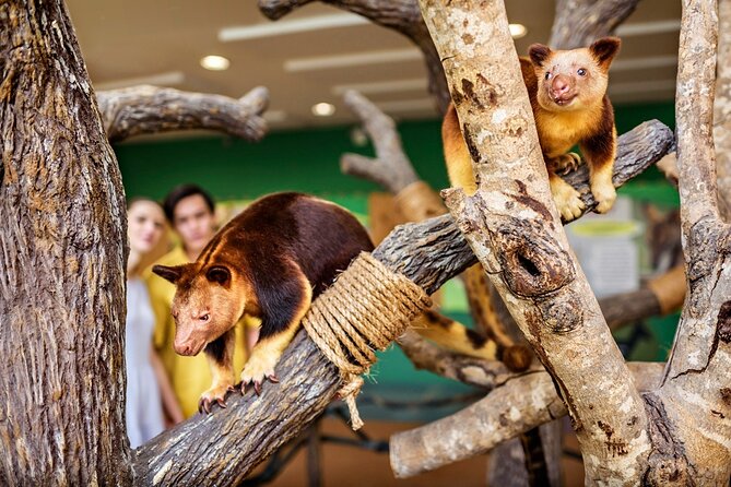 Singapore Zoo Entry Ticket - How long you should allow