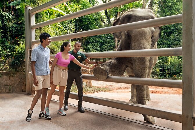 Singapore Zoo Entry Ticket - Getting there and handling the mobile ticket