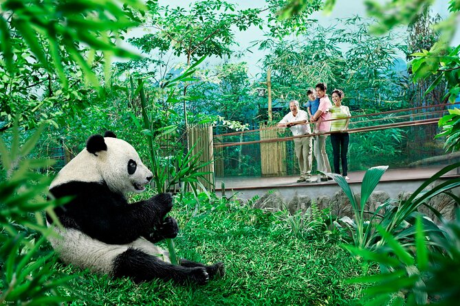 Singapore Zoo & Night Safari Day ( Tickets & Transfer ) - What the $141.64 price really covers
